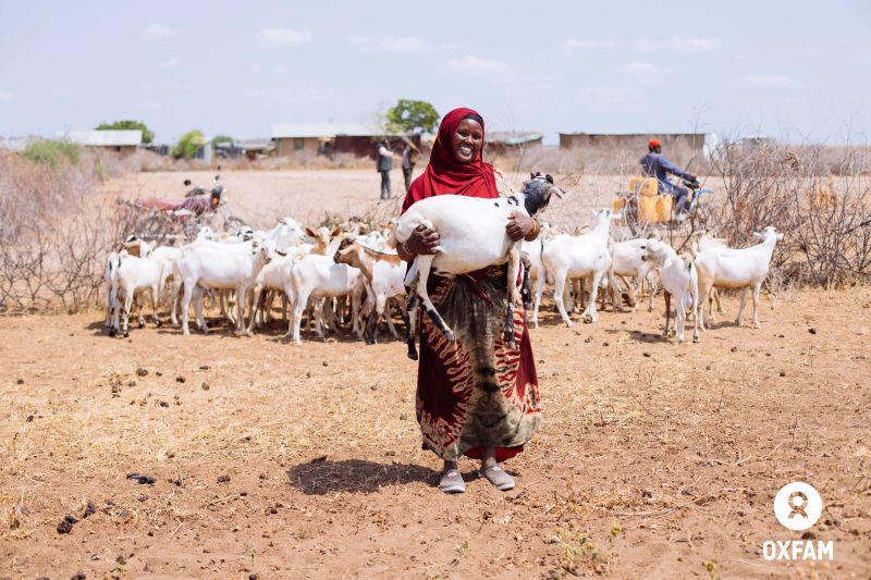 New Livestock Model Proves Profitable, Reduces Risk for Drought-Prone ASAL Communities